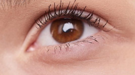 Close-up of a brown eye with long eyelashes, showcasing eye makeup details.